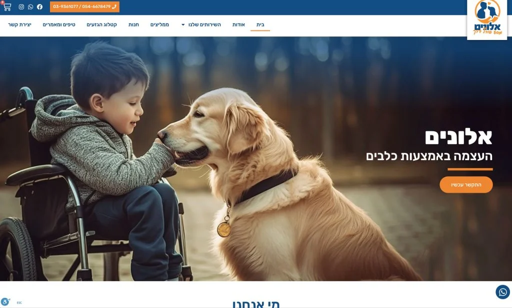ילד בכיסא גלגלים משחק עם כלב זהב, עם הטקסט 'אלדובים - העצמחה במצעות כלכים'