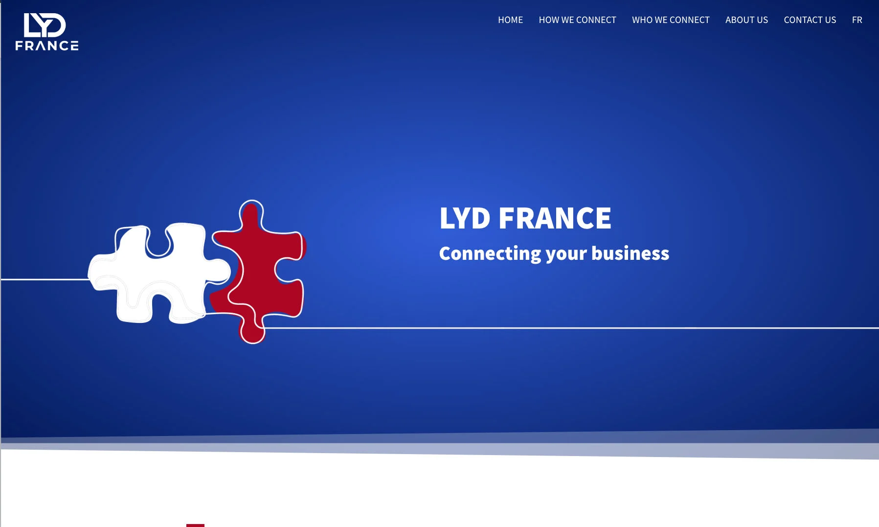 לוגו LYD France עם הטקסט 'Connecting your business'